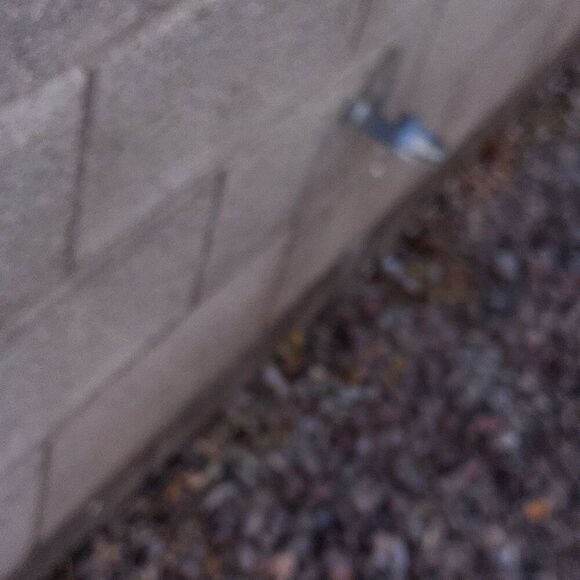 Vtg Green Windsor Corduroy Shacket Medium - Picture 7 of 10